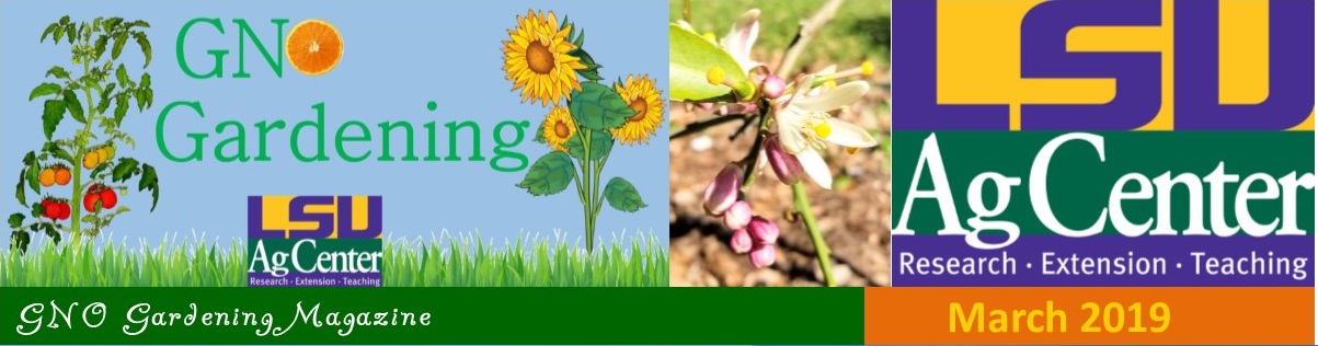 GNO Gardening - March 2019